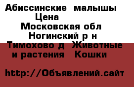 Абиссинские  малышы  › Цена ­ 14 000 - Московская обл., Ногинский р-н, Тимохово д. Животные и растения » Кошки   